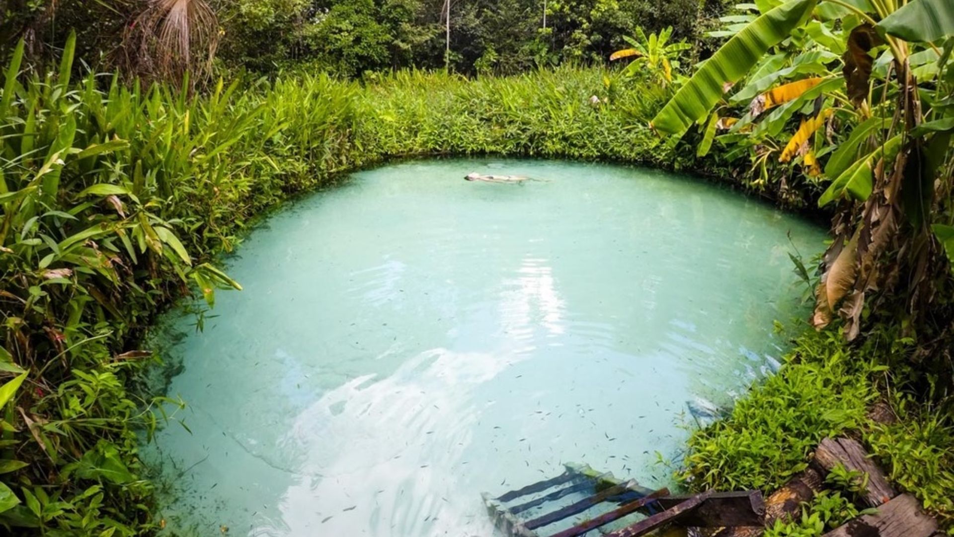 Jalapão - Pacote 3 dias